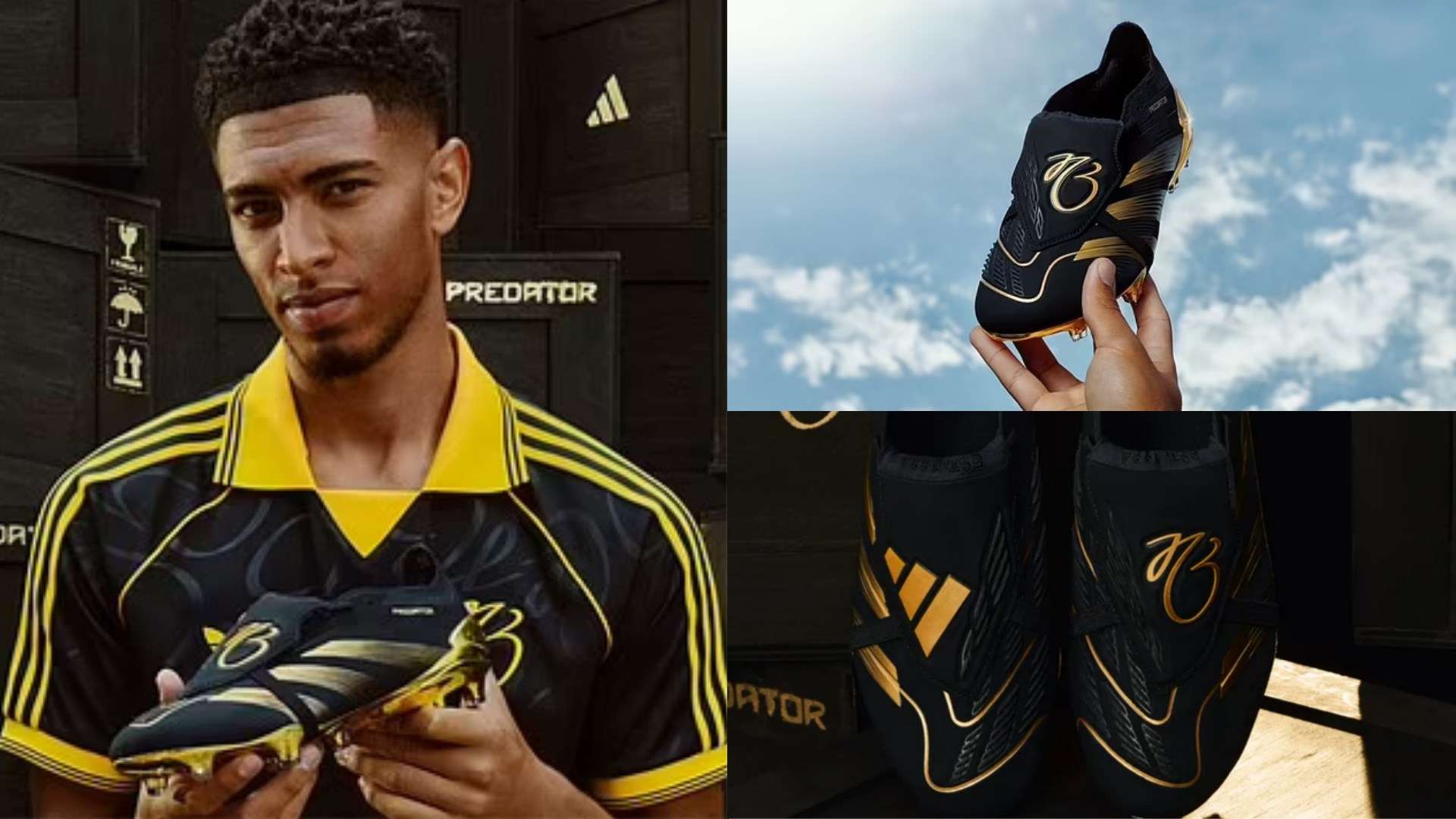 运动安全性 运动安全性