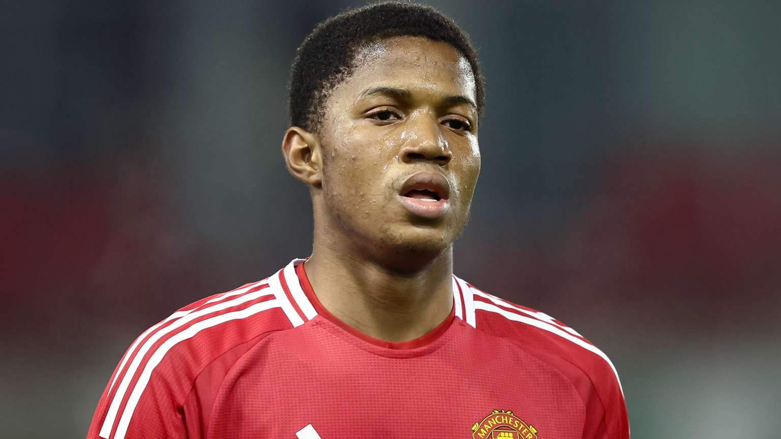 高训练效果 高训练效果