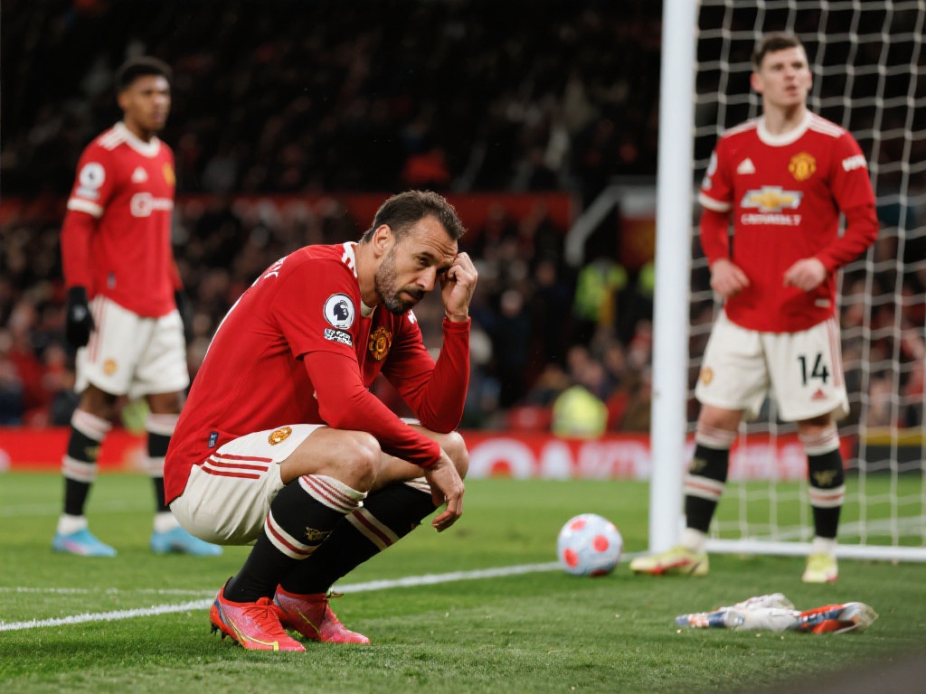 的拼搏精神 的拼搏精神