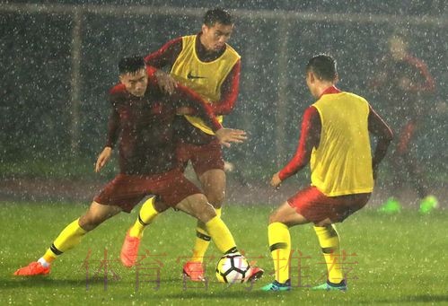 国足冒雨备战 里皮满意球队训练表现 国足冒雨备战 里皮满意球队训练表现